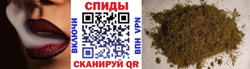 закладка  Кисловодск  Бутират BDO 