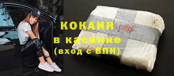 гидра Надым