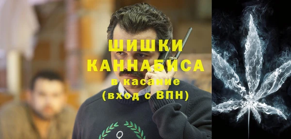 гидра Надым