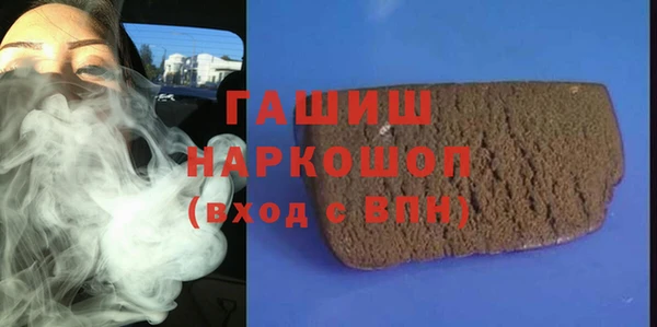 гидра Надым