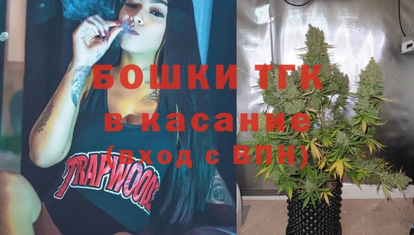 гидра Надым