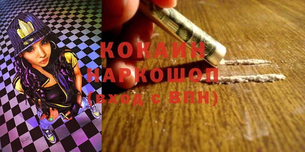 гидра Надым