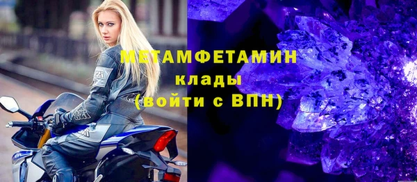 гидра Надым