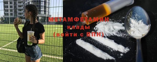 гидра Надым