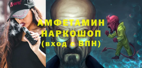 гидра Надым