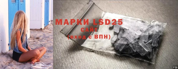гидра Надым