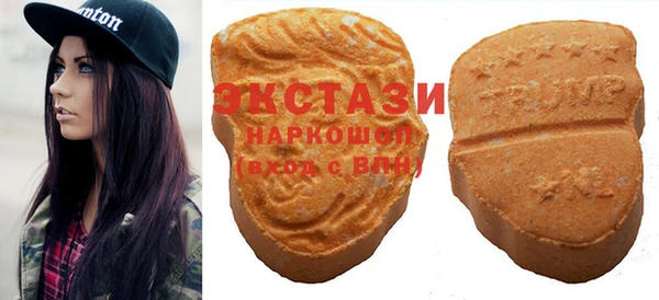 гидра Надым