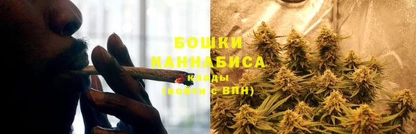 гидра Надым