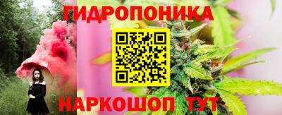шишки Гусев