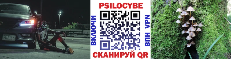 даркнет сайт  Кисловодск  Галлюциногенные грибы мухоморы 