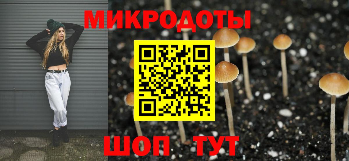 Кисловодск  Псилоцибиновые грибы GOLDEN TEACHER  Вход с VPN  Псилоцибиновые грибы Cubensis 