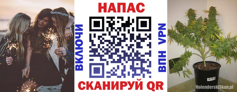 Марихуана планчик Кисловодск